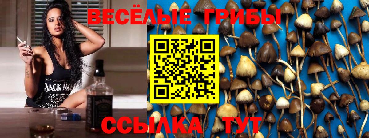 Псилоцибиновые грибы ЛСД Владивосток